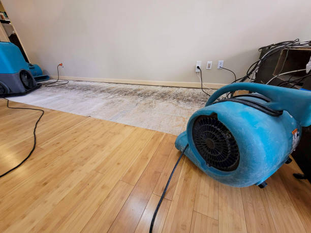 Professional Structural Drying technician working in Warsaw, KY